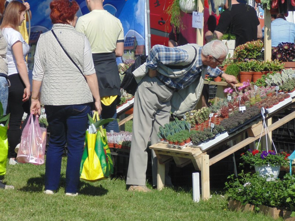 Otwarcie Święta Powiatu Brzeskiego w Łosiowie - aktualizacja [fotorelacja]