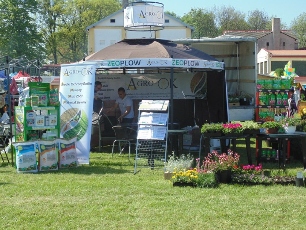 Otwarcie Święta Powiatu Brzeskiego w Łosiowie - aktualizacja [fotorelacja]