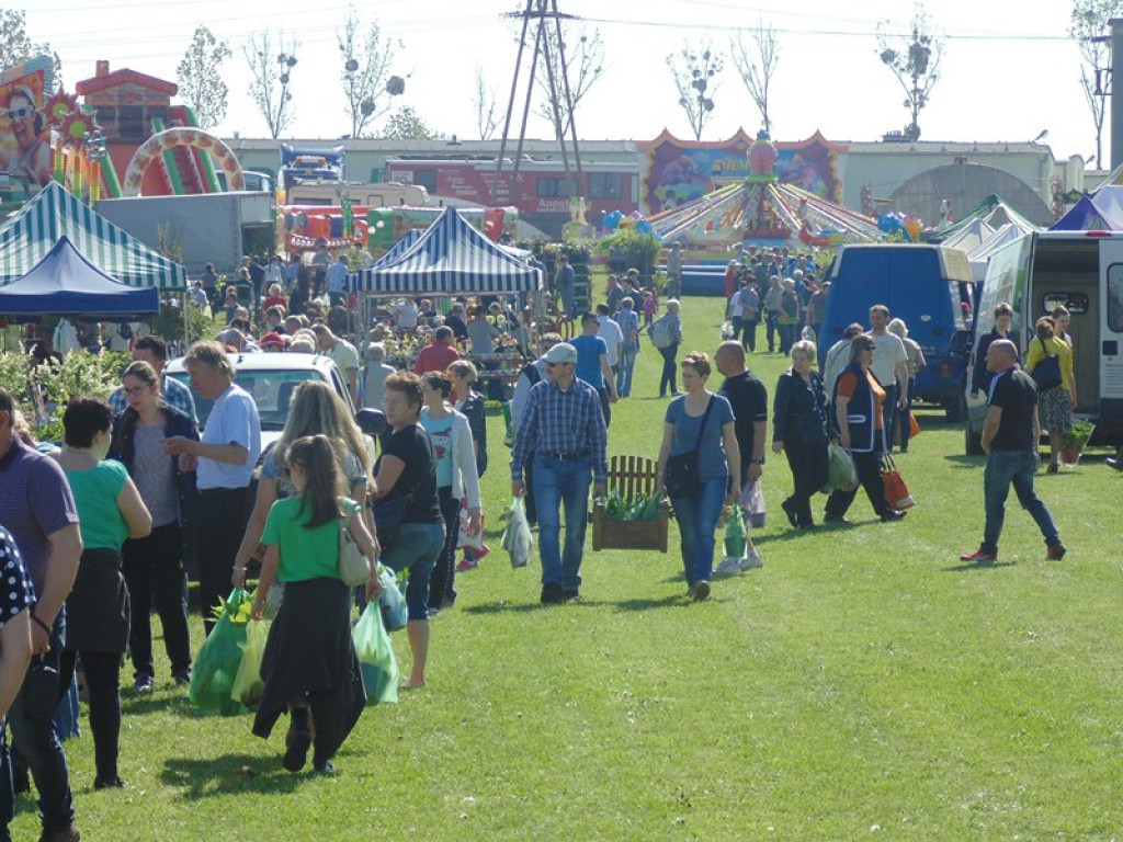Otwarcie Święta Powiatu Brzeskiego w Łosiowie - aktualizacja [fotorelacja]