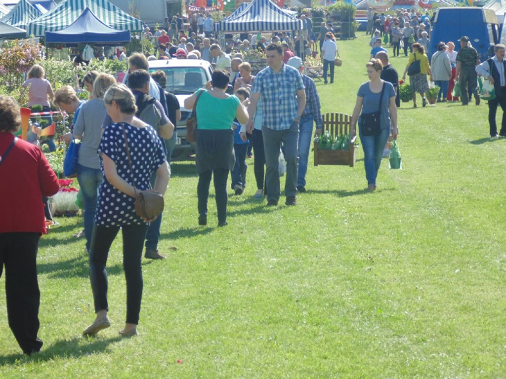 Otwarcie Święta Powiatu Brzeskiego w Łosiowie - aktualizacja [fotorelacja]