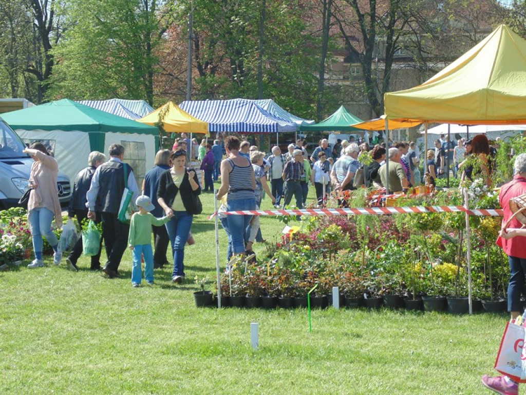 Otwarcie Święta Powiatu Brzeskiego w Łosiowie - aktualizacja [fotorelacja]
