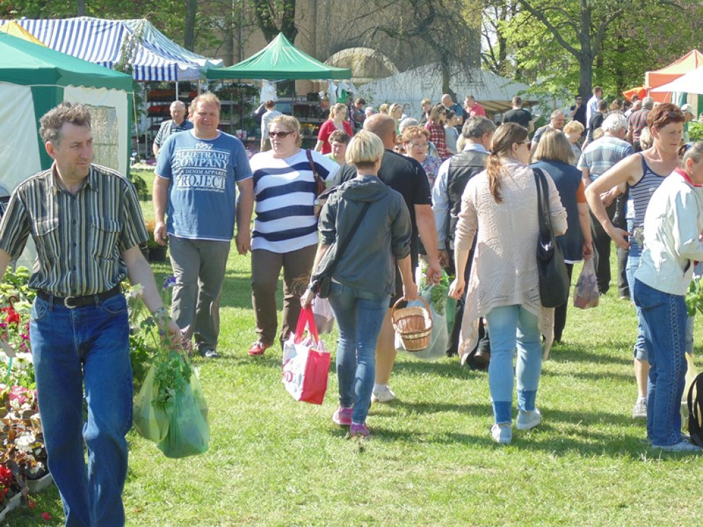 Otwarcie Święta Powiatu Brzeskiego w Łosiowie - aktualizacja [fotorelacja]