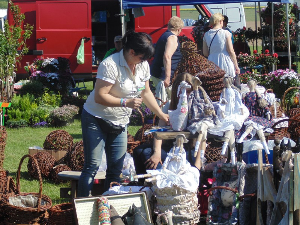 Otwarcie Święta Powiatu Brzeskiego w Łosiowie - aktualizacja [fotorelacja]