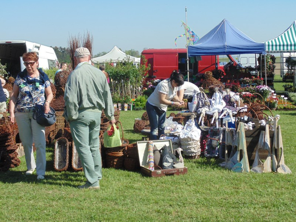 Otwarcie Święta Powiatu Brzeskiego w Łosiowie - aktualizacja [fotorelacja]