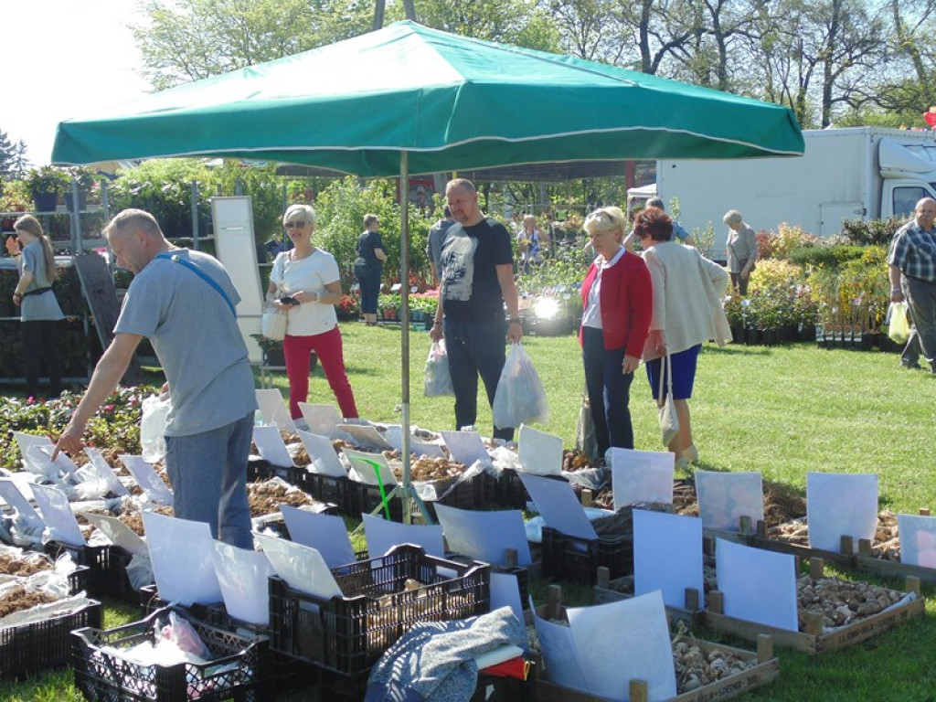 Otwarcie Święta Powiatu Brzeskiego w Łosiowie - aktualizacja [fotorelacja]