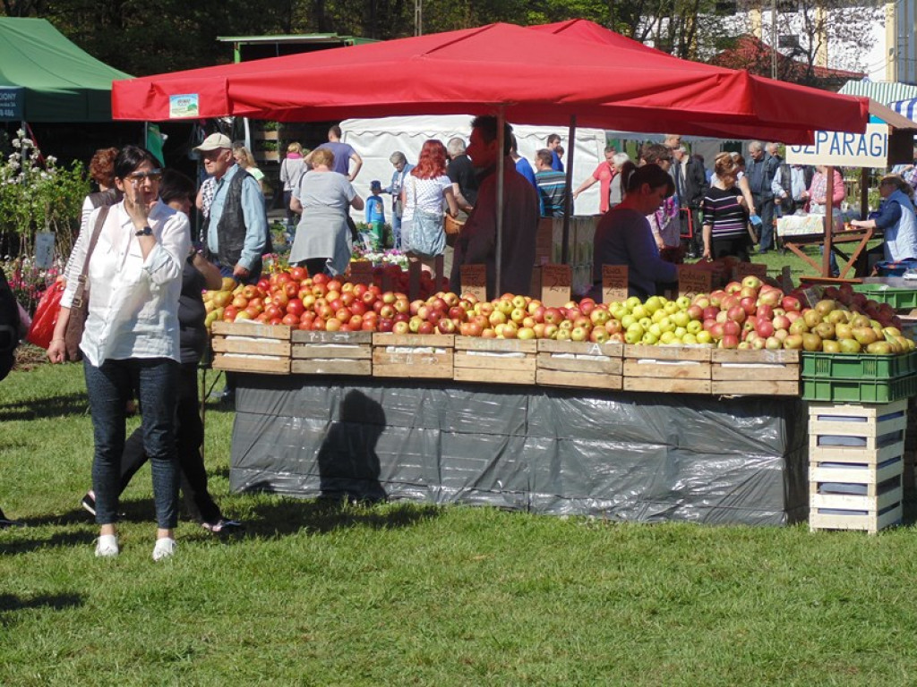 Otwarcie Święta Powiatu Brzeskiego w Łosiowie - aktualizacja [fotorelacja]