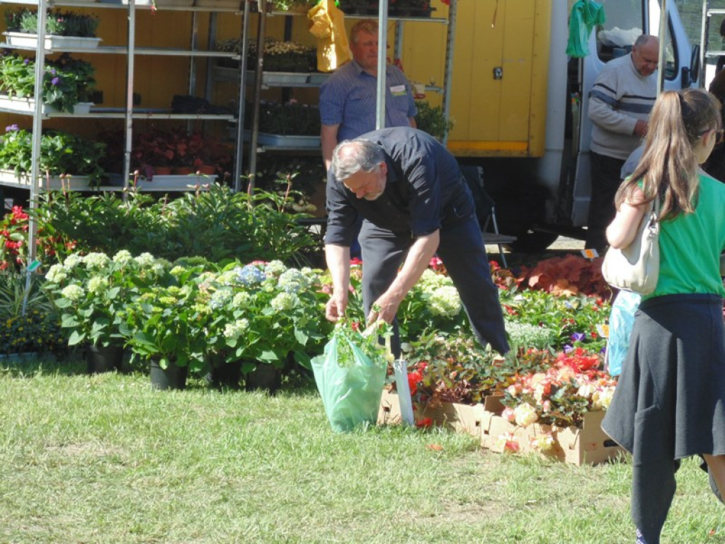 Otwarcie Święta Powiatu Brzeskiego w Łosiowie - aktualizacja [fotorelacja]
