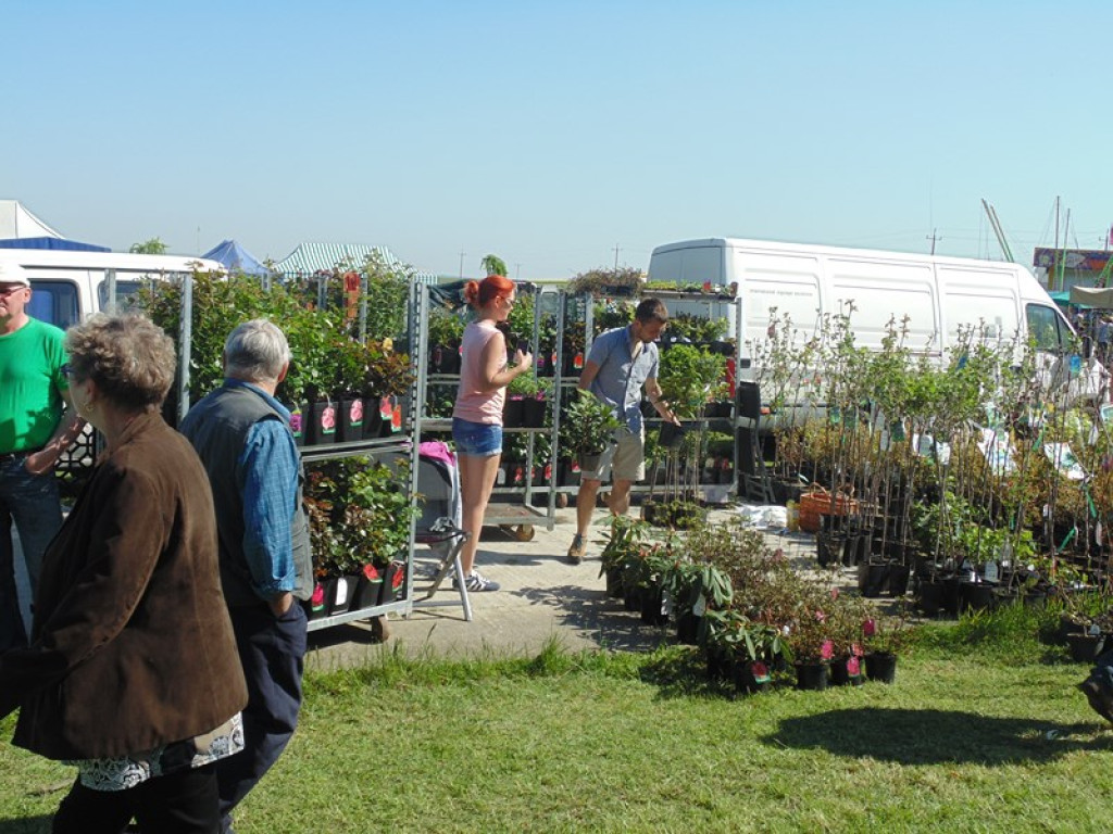 Otwarcie Święta Powiatu Brzeskiego w Łosiowie - aktualizacja [fotorelacja]