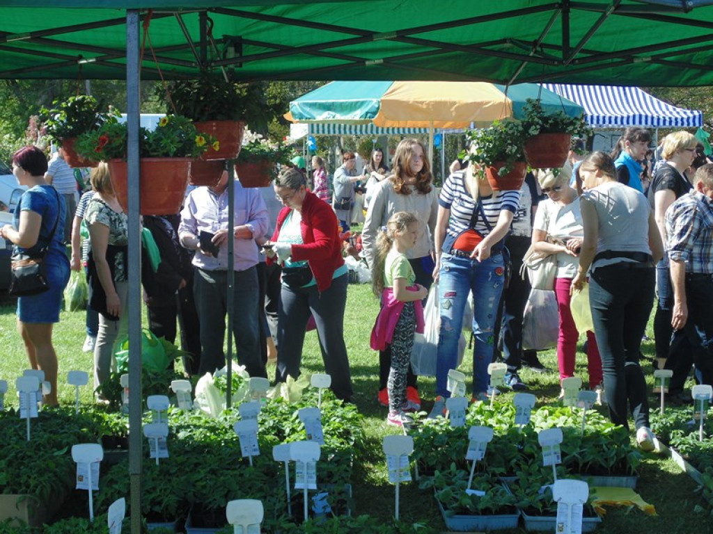 Otwarcie Święta Powiatu Brzeskiego w Łosiowie - aktualizacja [fotorelacja]