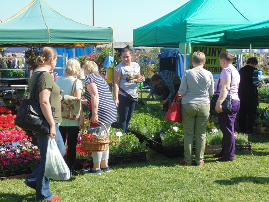 Otwarcie Święta Powiatu Brzeskiego w Łosiowie - aktualizacja [fotorelacja]