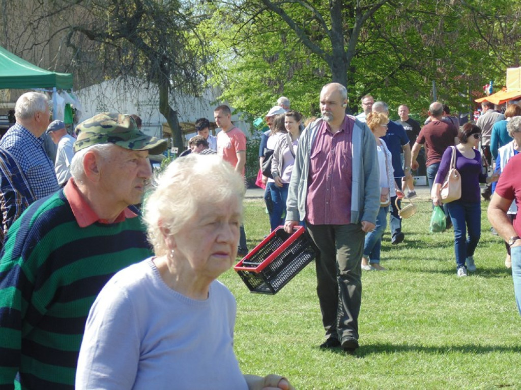 Otwarcie Święta Powiatu Brzeskiego w Łosiowie - aktualizacja [fotorelacja]