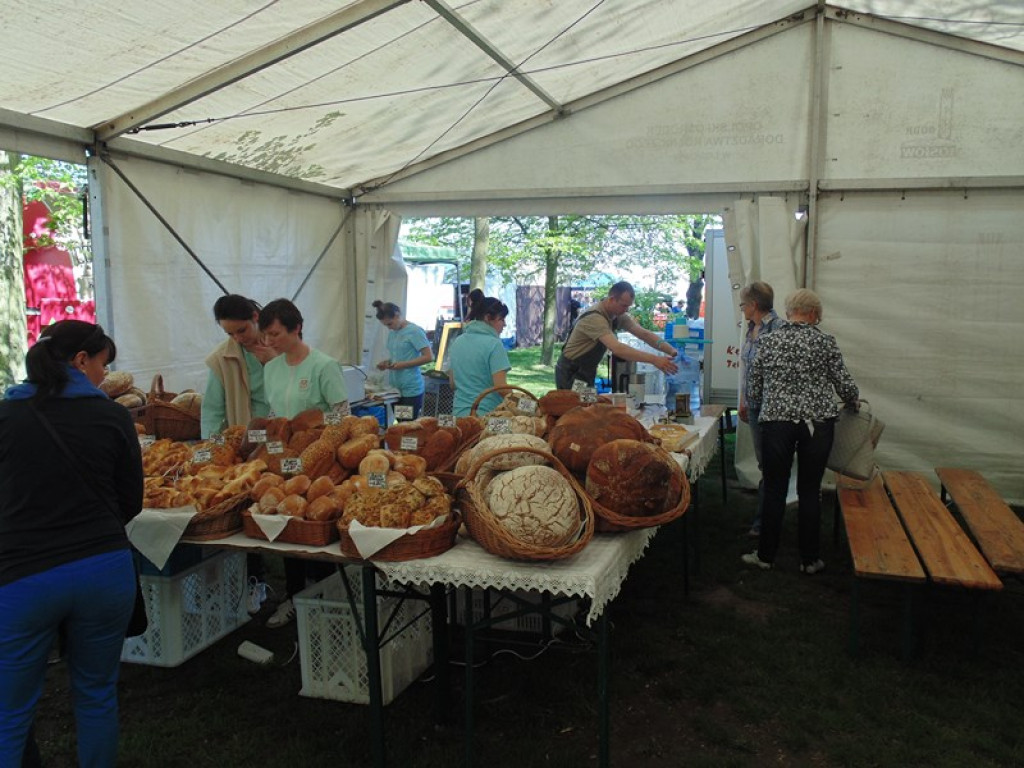 Otwarcie Święta Powiatu Brzeskiego w Łosiowie - aktualizacja [fotorelacja]