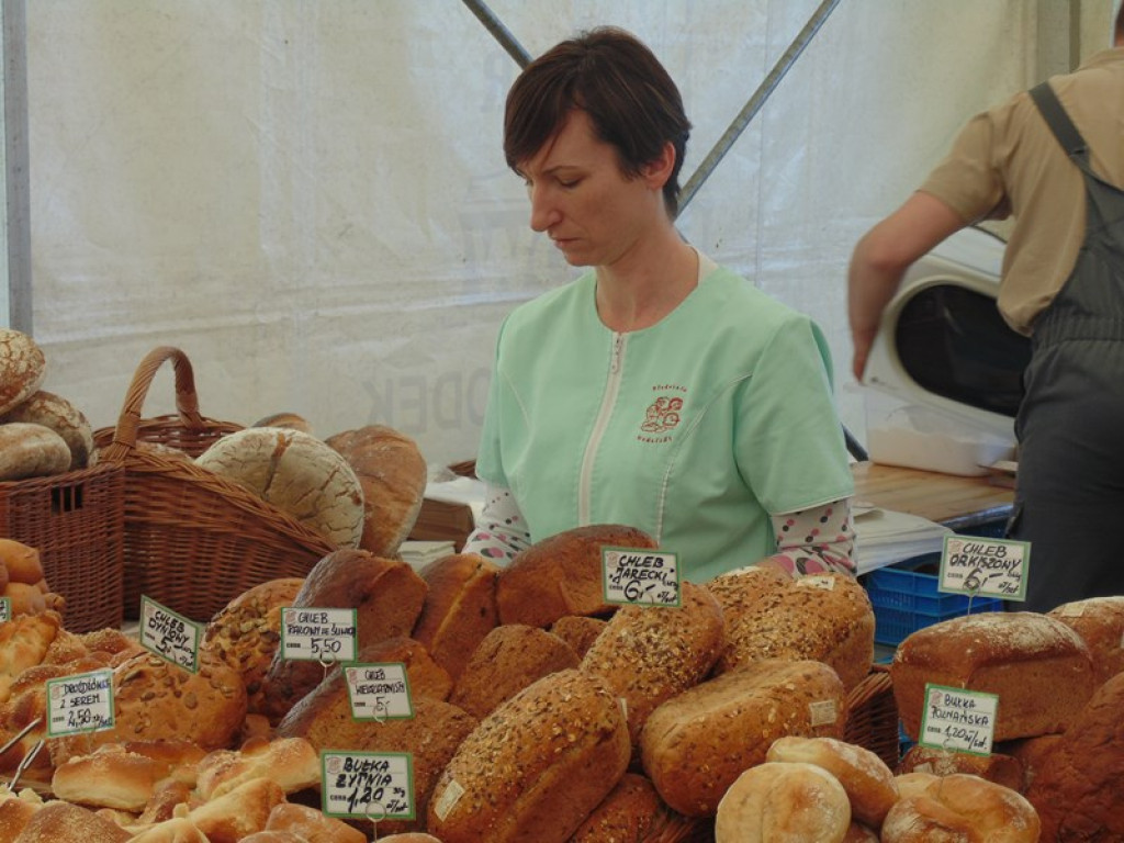 Otwarcie Święta Powiatu Brzeskiego w Łosiowie - aktualizacja [fotorelacja]