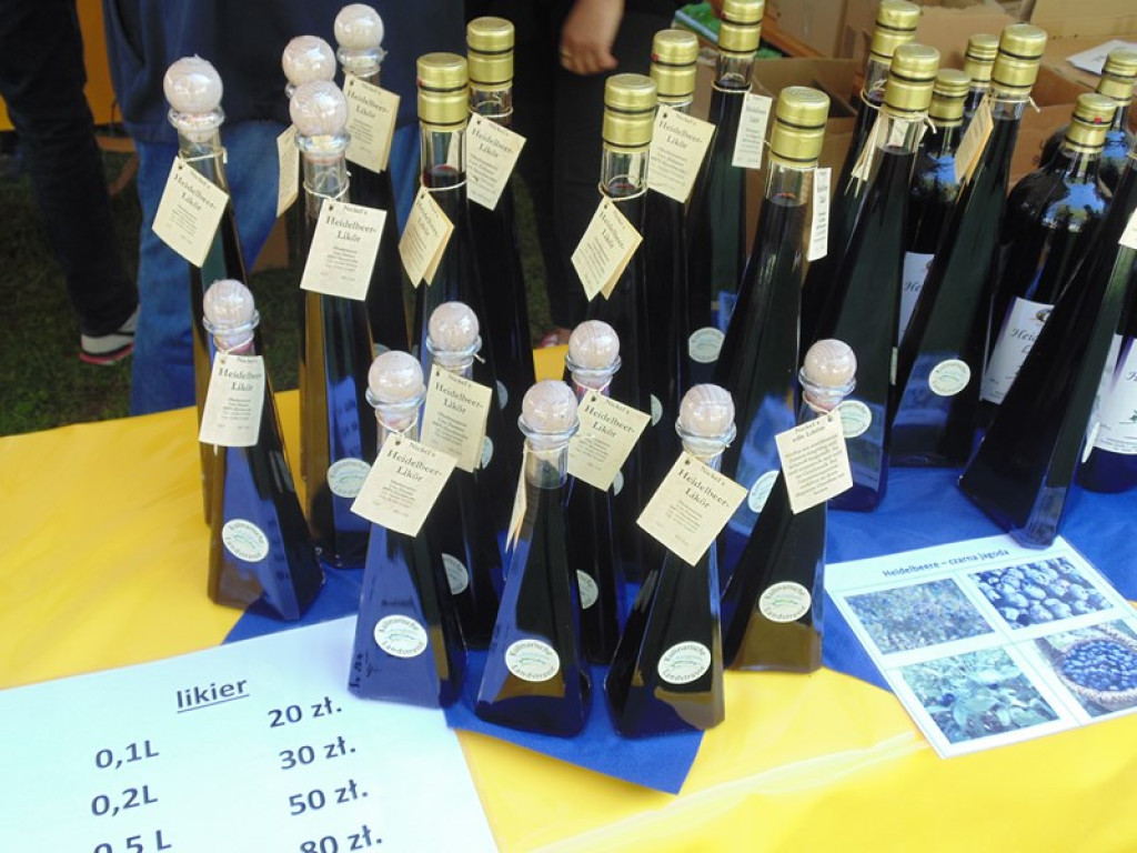 Otwarcie Święta Powiatu Brzeskiego w Łosiowie - aktualizacja [fotorelacja]