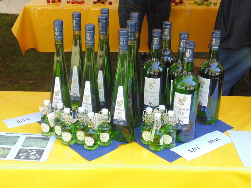 Otwarcie Święta Powiatu Brzeskiego w Łosiowie - aktualizacja [fotorelacja]