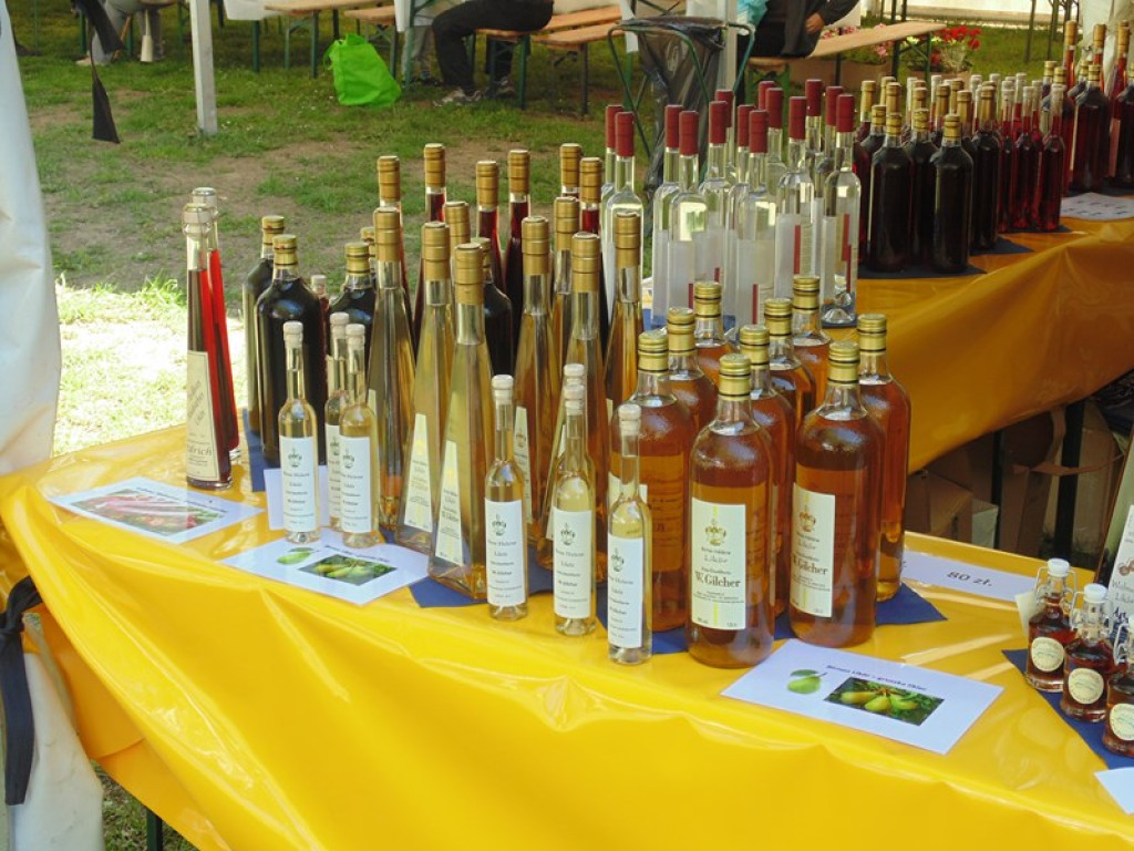 Otwarcie Święta Powiatu Brzeskiego w Łosiowie - aktualizacja [fotorelacja]