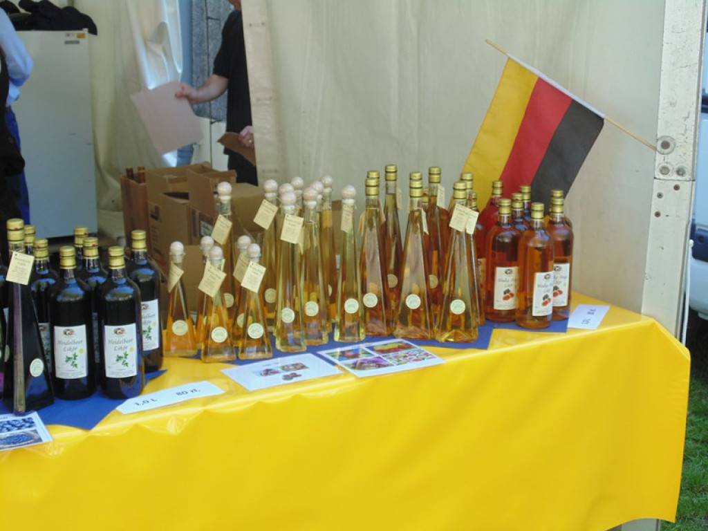 Otwarcie Święta Powiatu Brzeskiego w Łosiowie - aktualizacja [fotorelacja]