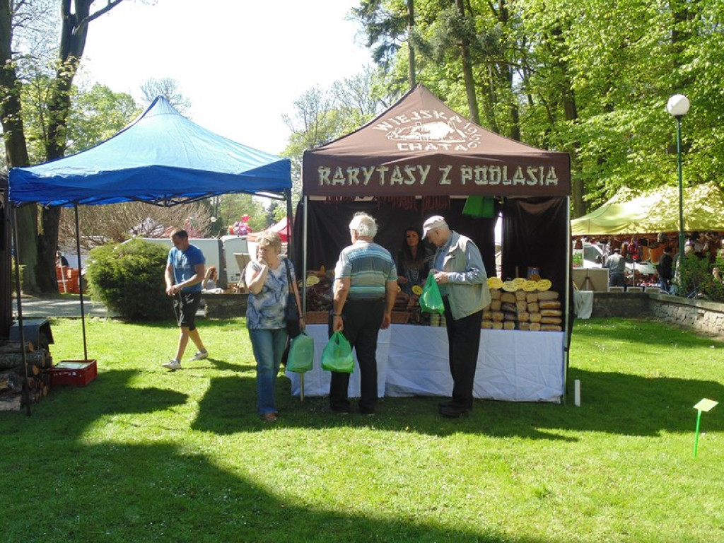 Otwarcie Święta Powiatu Brzeskiego w Łosiowie - aktualizacja [fotorelacja]