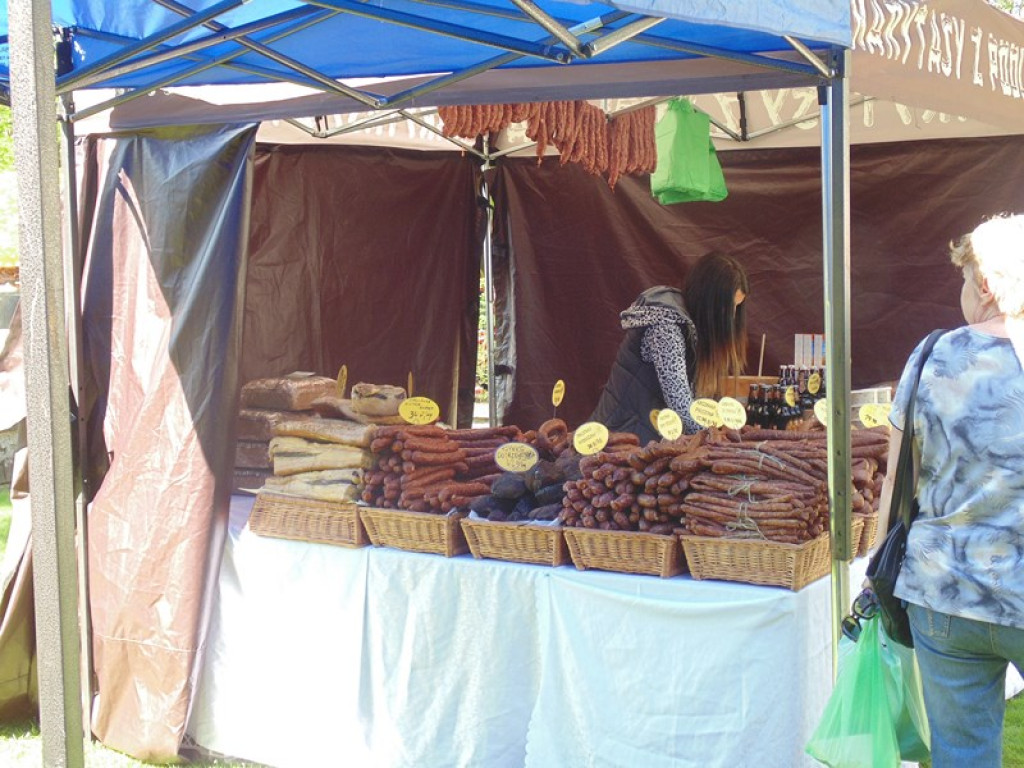 Otwarcie Święta Powiatu Brzeskiego w Łosiowie - aktualizacja [fotorelacja]