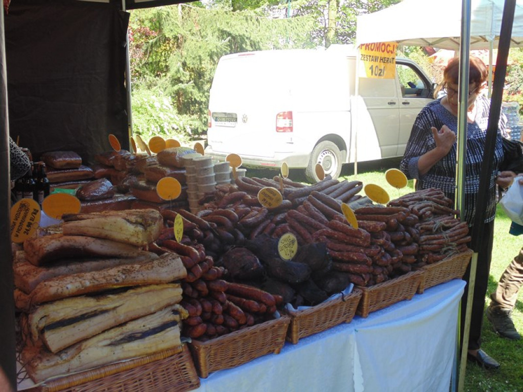 Otwarcie Święta Powiatu Brzeskiego w Łosiowie - aktualizacja [fotorelacja]