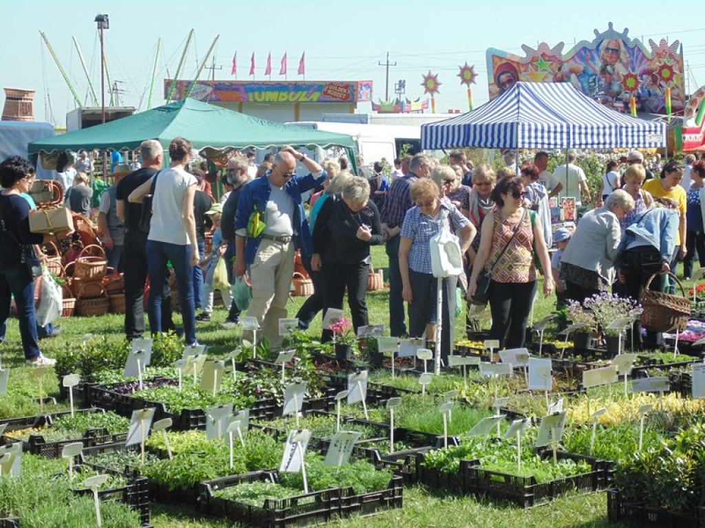 Otwarcie Święta Powiatu Brzeskiego w Łosiowie - aktualizacja [fotorelacja]