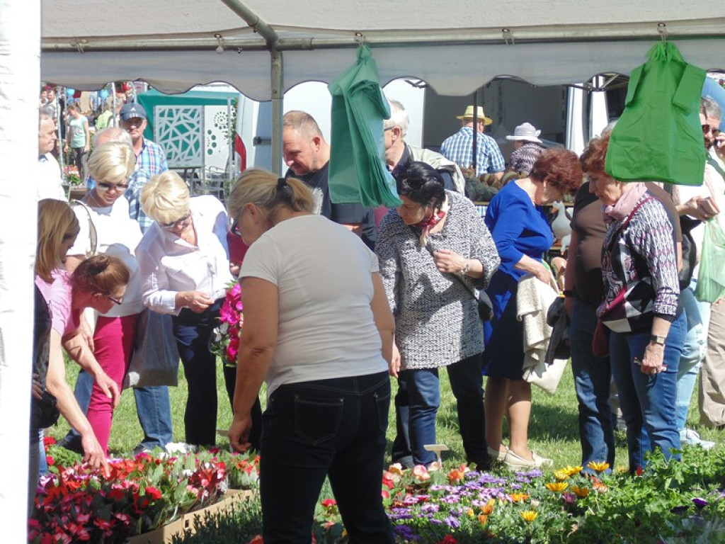 Otwarcie Święta Powiatu Brzeskiego w Łosiowie - aktualizacja [fotorelacja]
