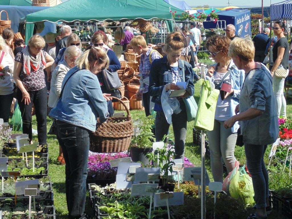 Otwarcie Święta Powiatu Brzeskiego w Łosiowie - aktualizacja [fotorelacja]
