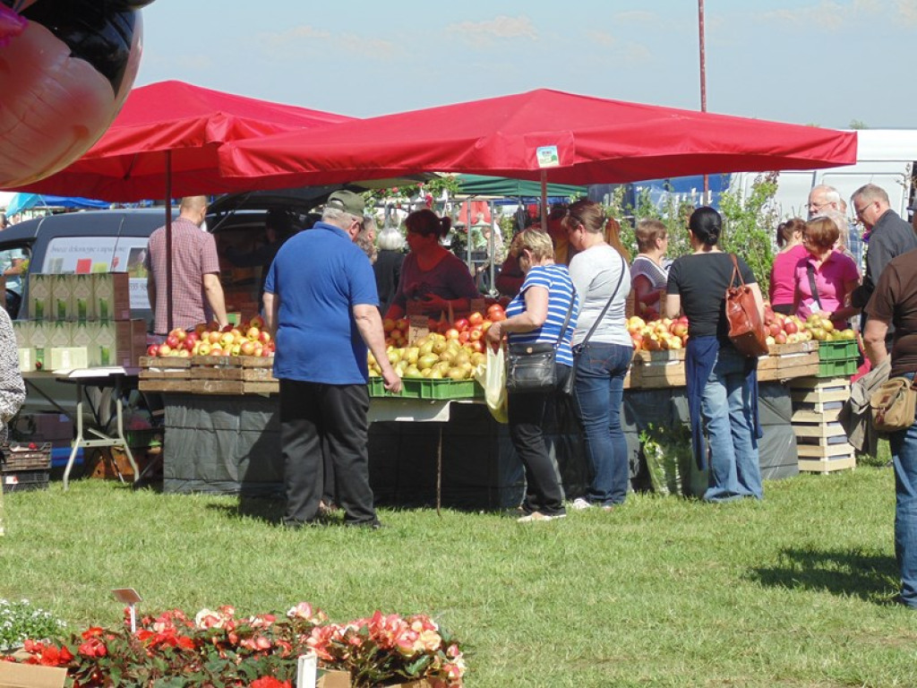 Otwarcie Święta Powiatu Brzeskiego w Łosiowie - aktualizacja [fotorelacja]