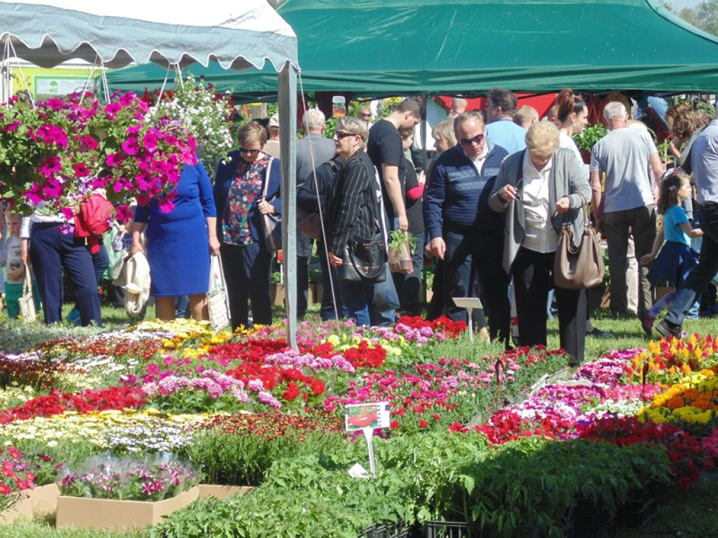 Otwarcie Święta Powiatu Brzeskiego w Łosiowie - aktualizacja [fotorelacja]