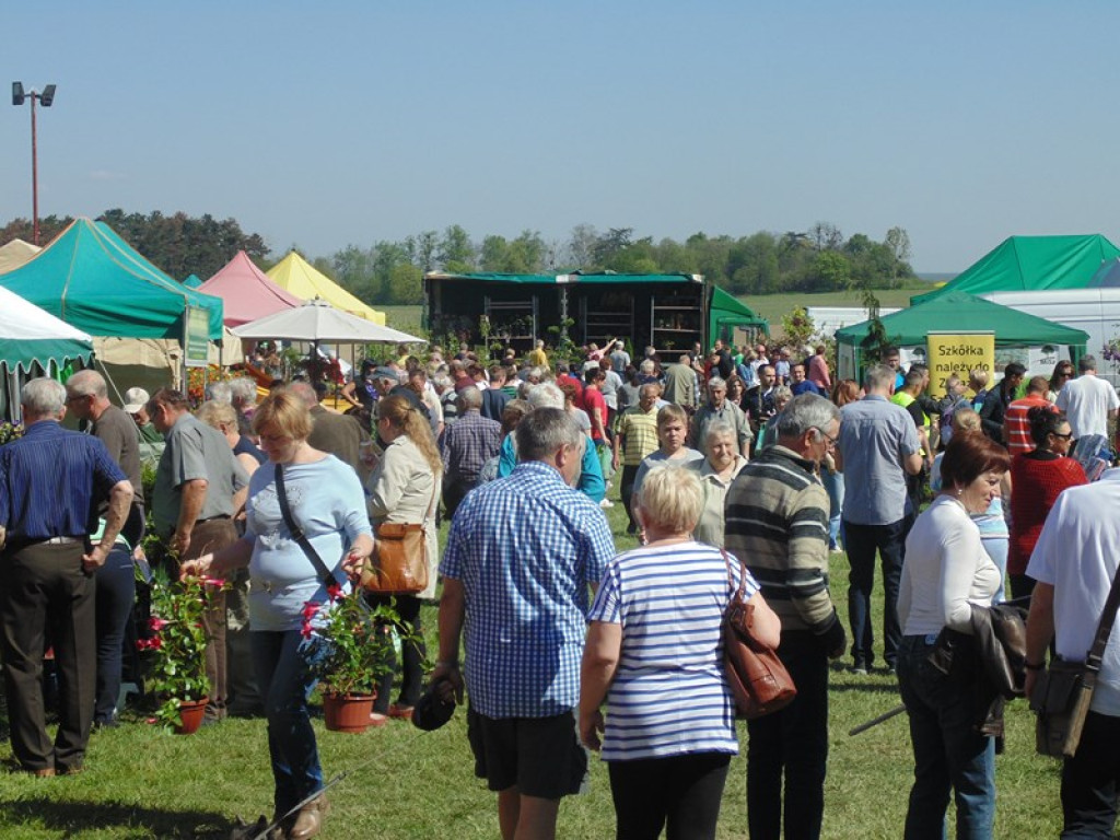 Otwarcie Święta Powiatu Brzeskiego w Łosiowie - aktualizacja [fotorelacja]