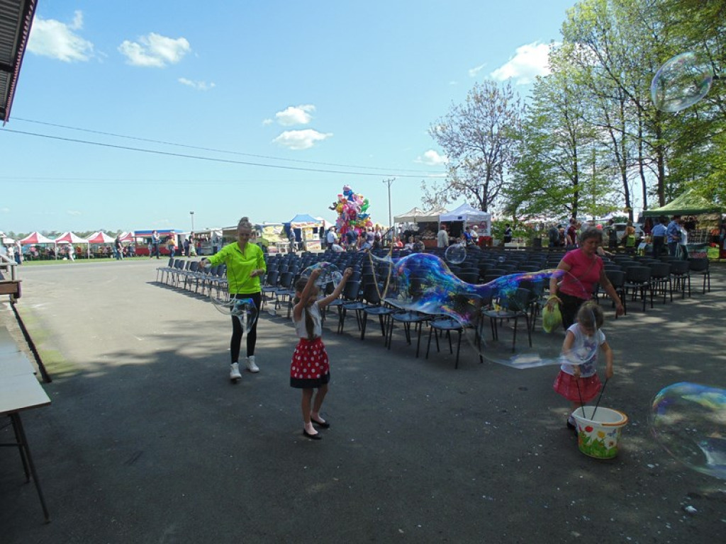 Otwarcie Święta Powiatu Brzeskiego w Łosiowie - aktualizacja [fotorelacja]