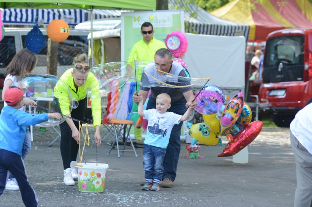 Otwarcie Święta Powiatu Brzeskiego w Łosiowie - aktualizacja [fotorelacja]