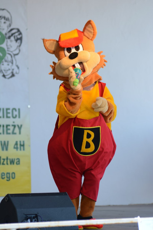 Otwarcie Święta Powiatu Brzeskiego w Łosiowie - aktualizacja [fotorelacja]