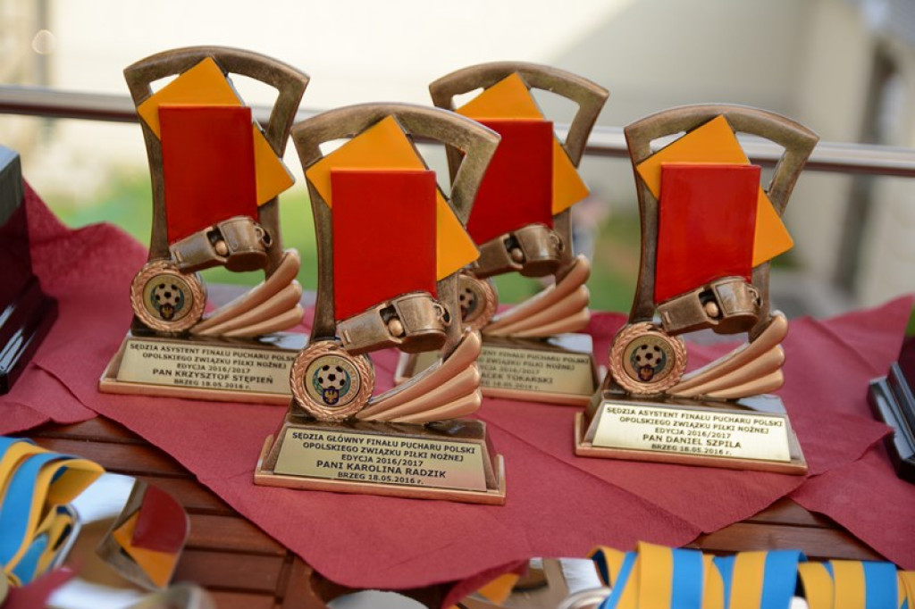 Wojewódzki Puchar Polski OKS Odra Opole - MKS Ruch Zdzieszowice [relacja i galeria]