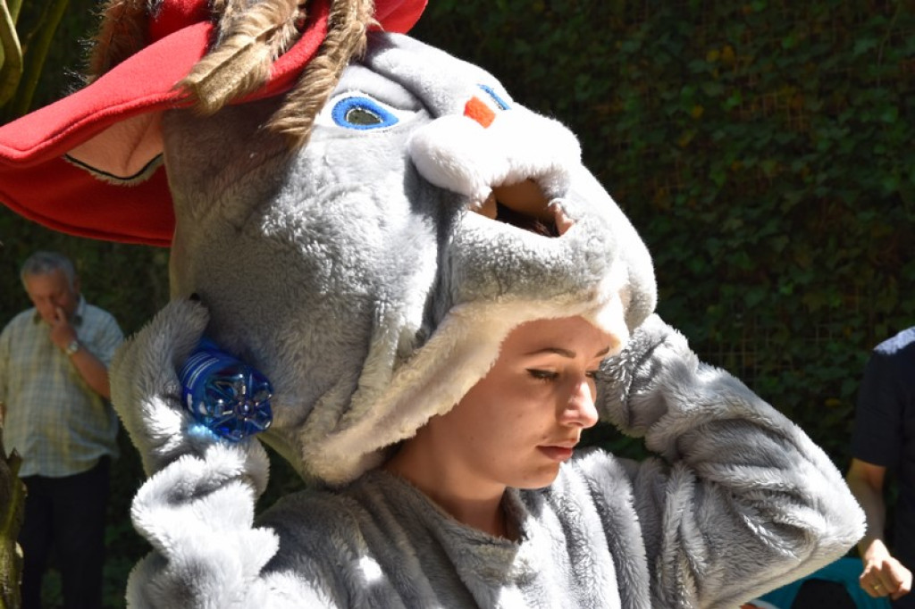 Marsz dla Życia i Rodziny oraz festyn rodzinny w Brzegu [zdjęcia]