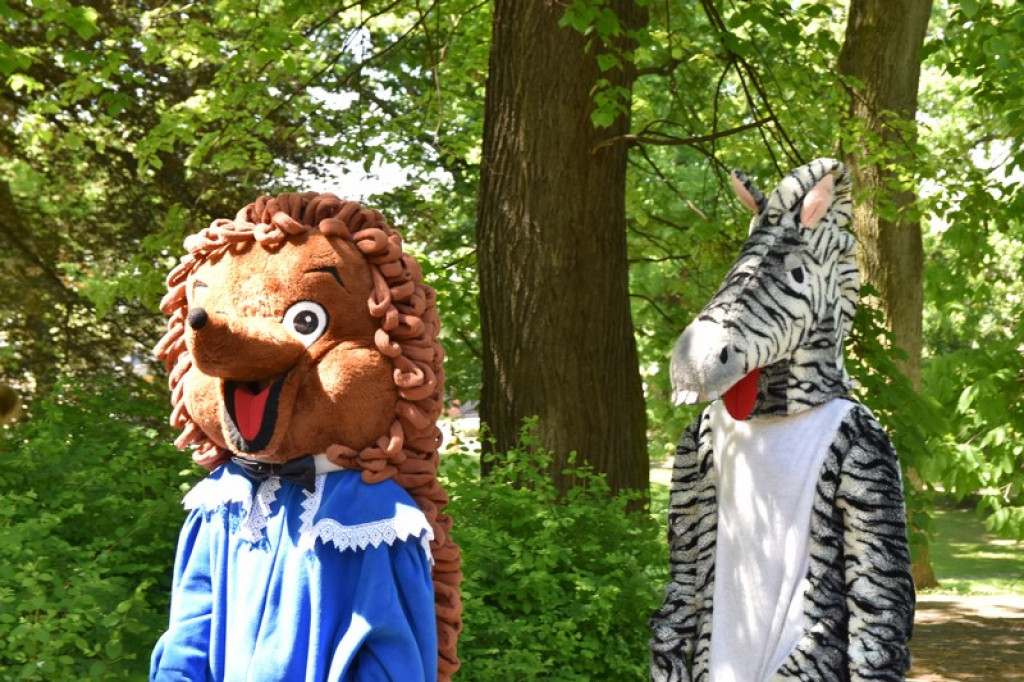 Marsz dla Życia i Rodziny oraz festyn rodzinny w Brzegu [zdjęcia]