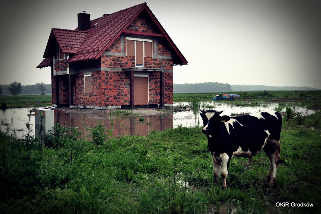 Konkurs Fotograficzny 