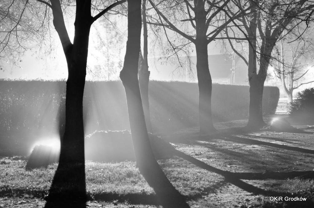 Konkurs Fotograficzny 