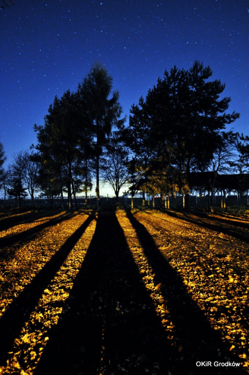 Konkurs Fotograficzny 