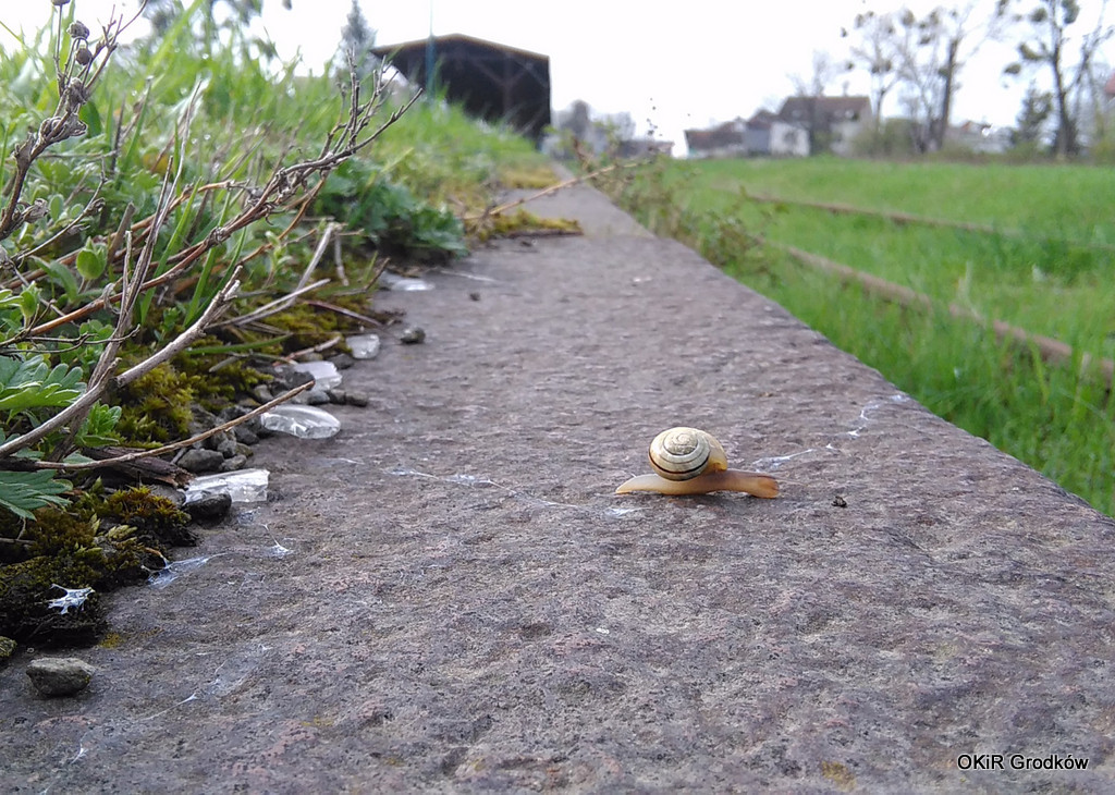 Konkurs Fotograficzny 