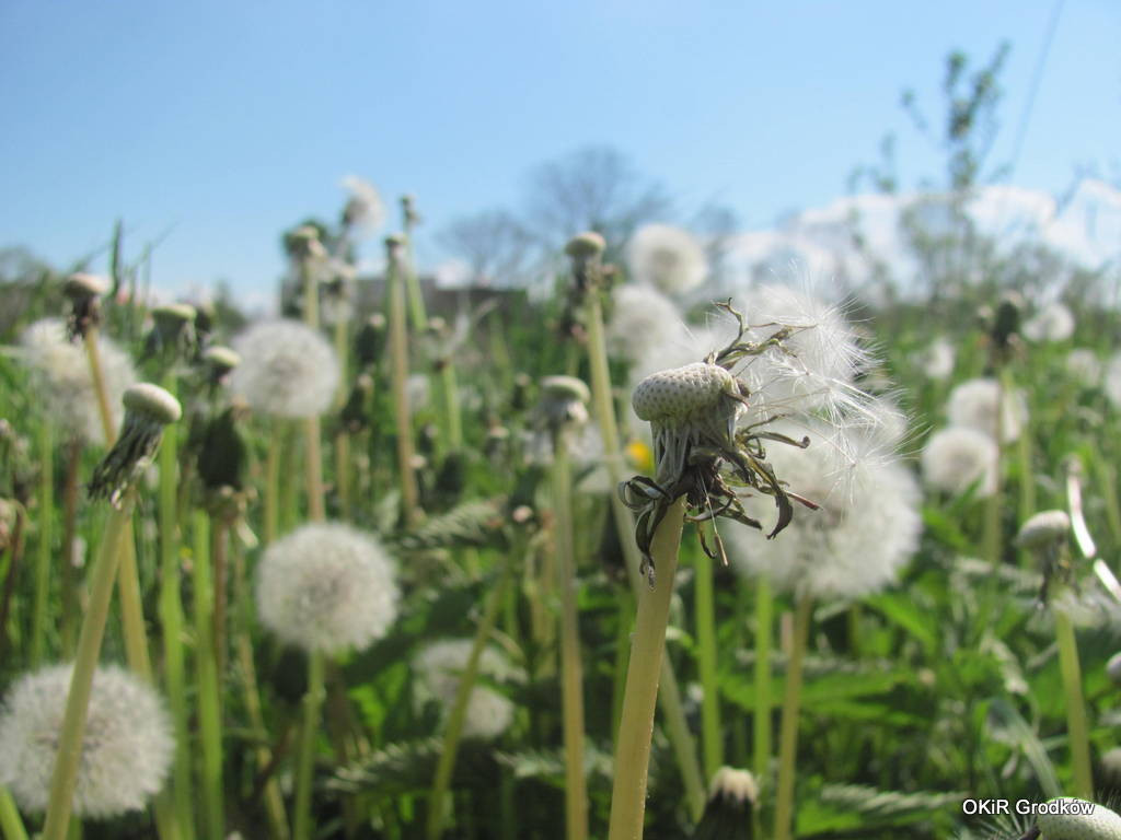 Konkurs Fotograficzny 