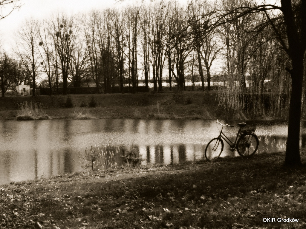 Konkurs Fotograficzny 