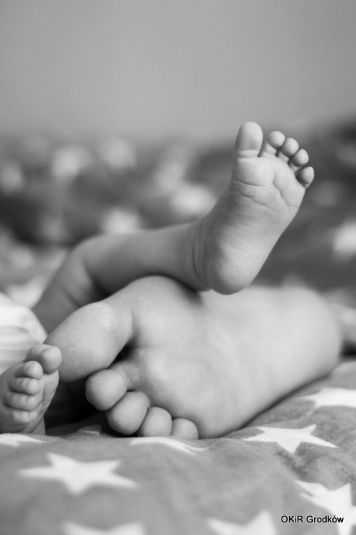 Konkurs Fotograficzny 