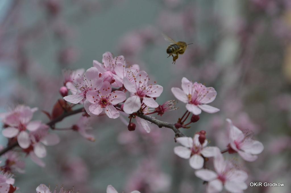Konkurs Fotograficzny 