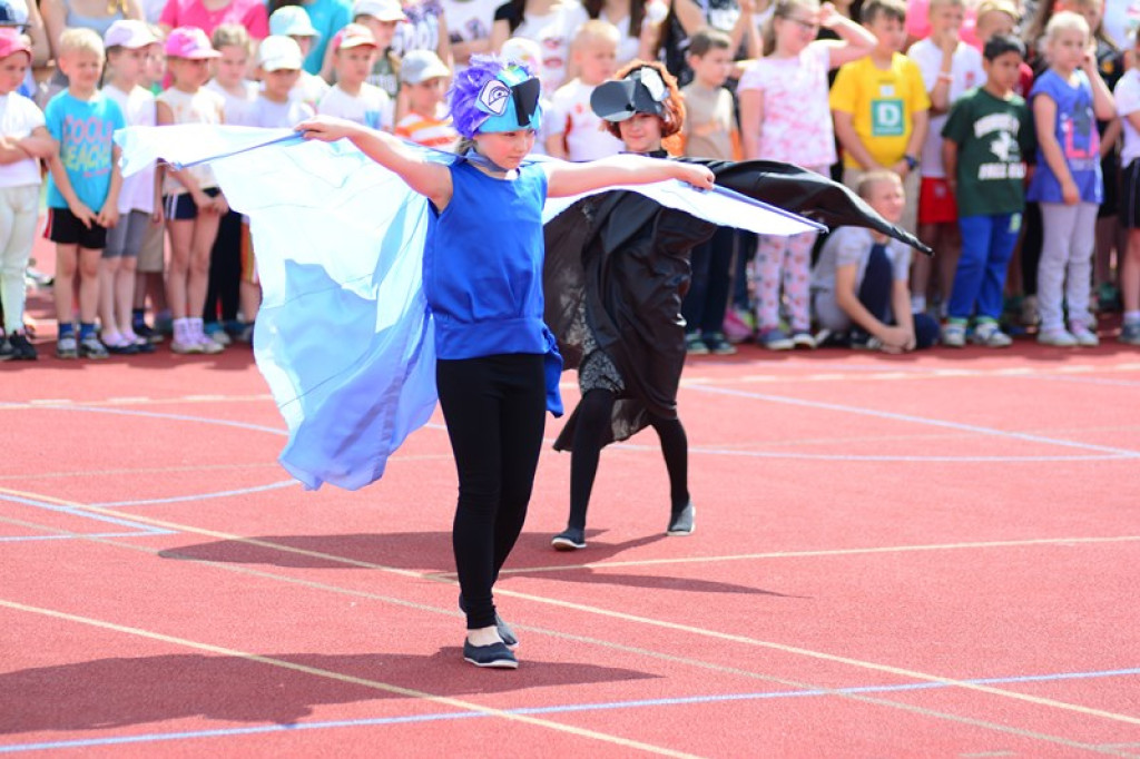 XXII Bieg Olimpijski im. Zdzisława Zielonki w Jędrzejowie