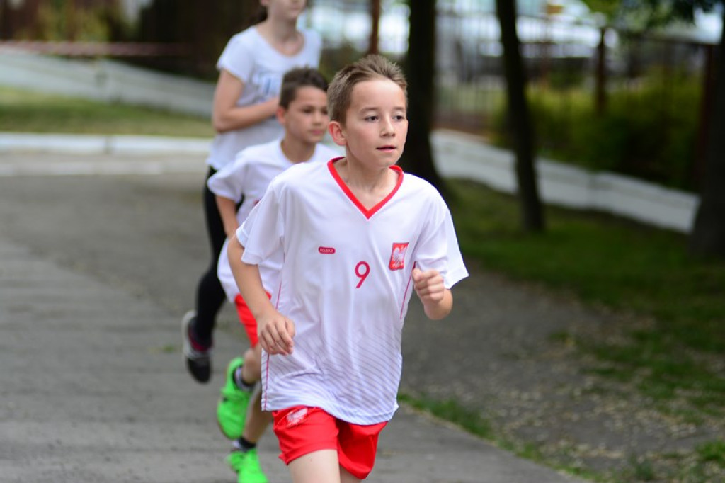 XXII Bieg Olimpijski im. Zdzisława Zielonki w Jędrzejowie