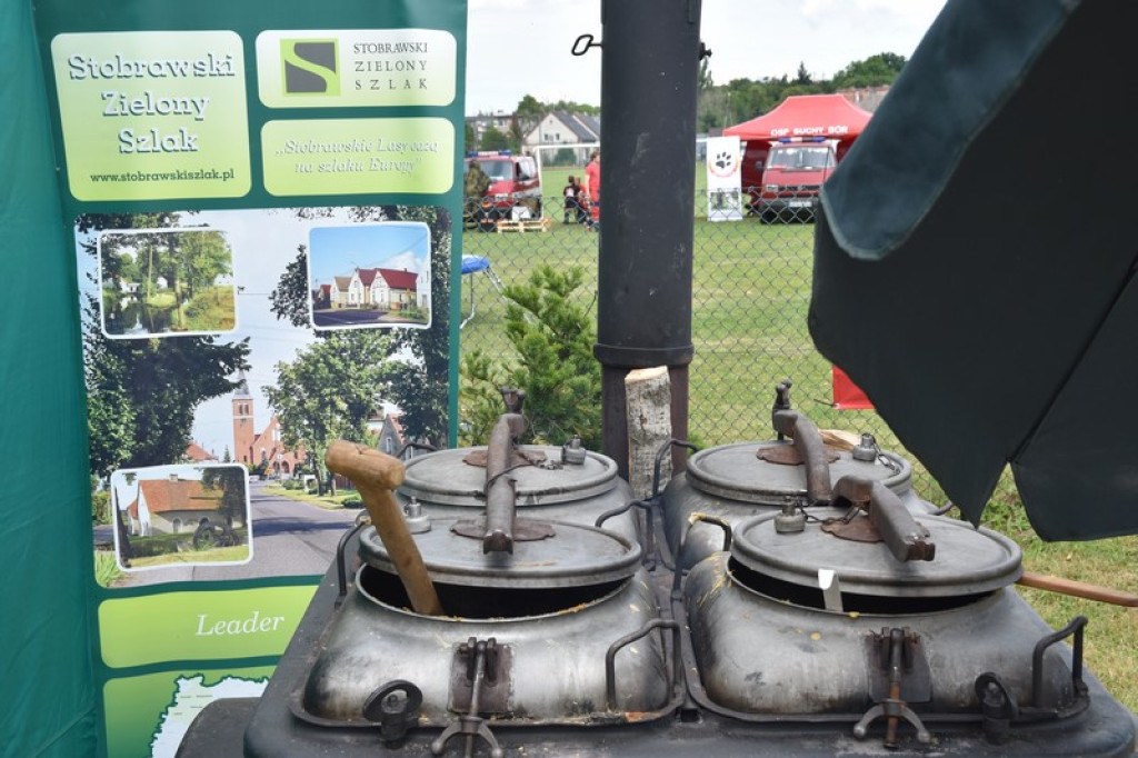 Festyn charytatywny w Łosiowie. Wolontariusze zbierają na elektryczny wózek dla Joasi [zdjęcia]