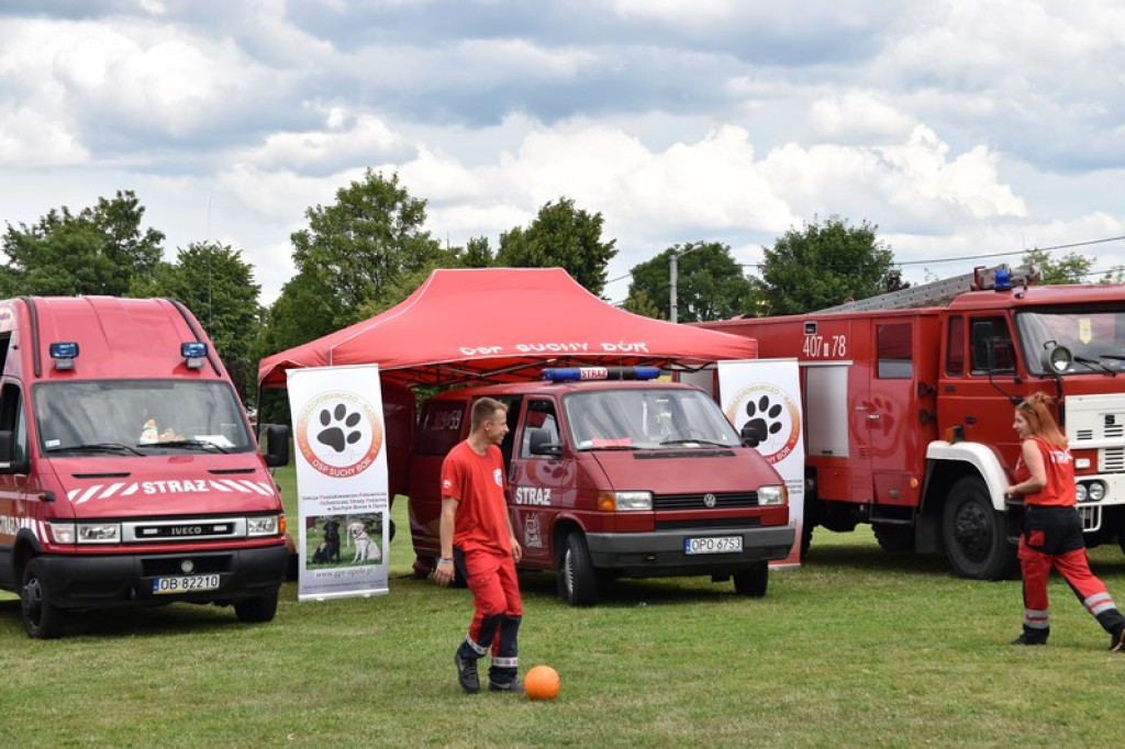 Festyn charytatywny w Łosiowie. Wolontariusze zbierają na elektryczny wózek dla Joasi [zdjęcia]