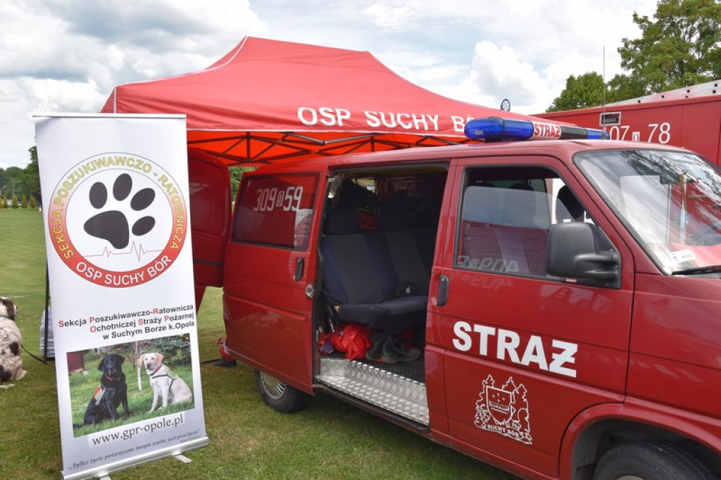 Festyn charytatywny w Łosiowie. Wolontariusze zbierają na elektryczny wózek dla Joasi [zdjęcia]