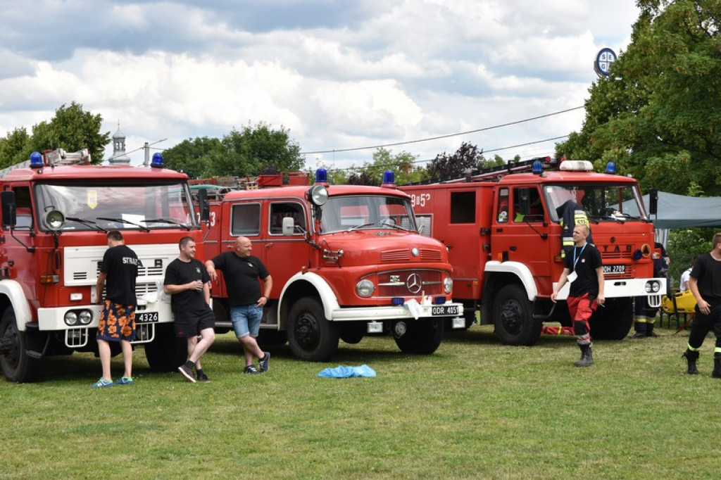 Festyn charytatywny w Łosiowie. Wolontariusze zbierają na elektryczny wózek dla Joasi [zdjęcia]